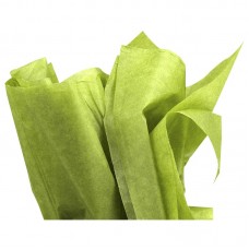 Silkepapir lime 50x75 cm (240-pakke)